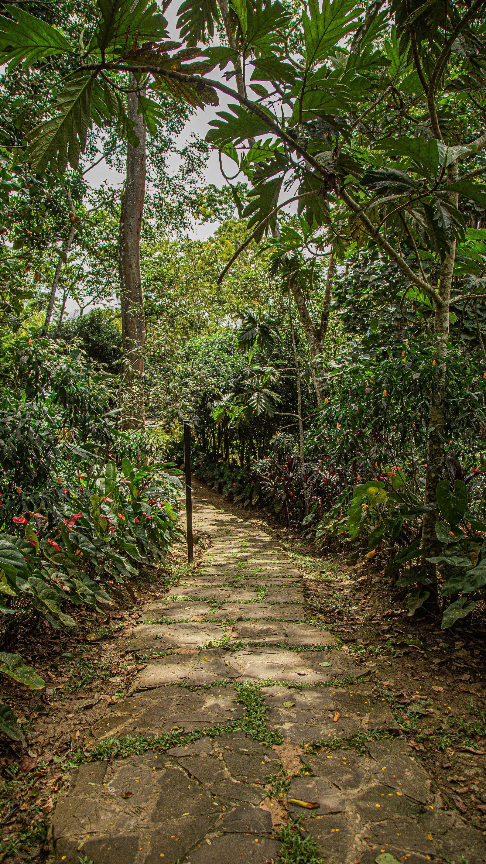 Garden scene at Kantu Garden Lodge