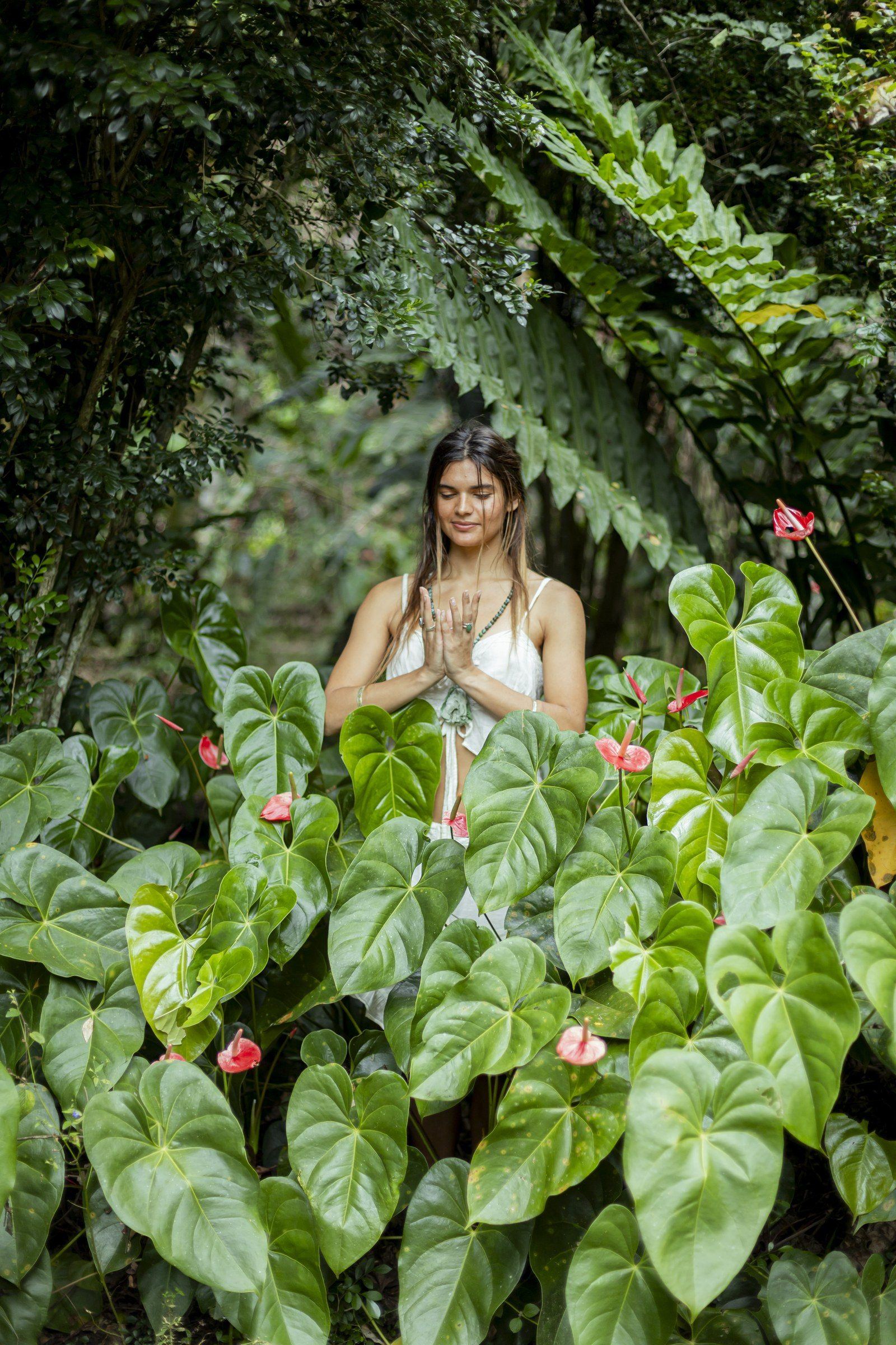 Garden scene at Kantu Garden Lodge