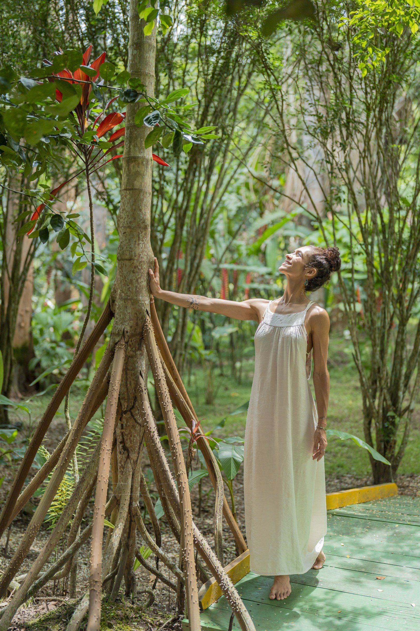 Garden scene at Kantu Garden Lodge