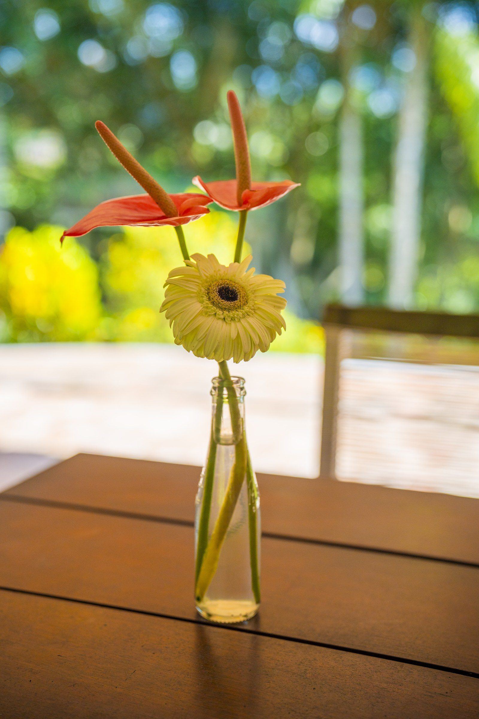 Garden scene at Kantu Garden Lodge