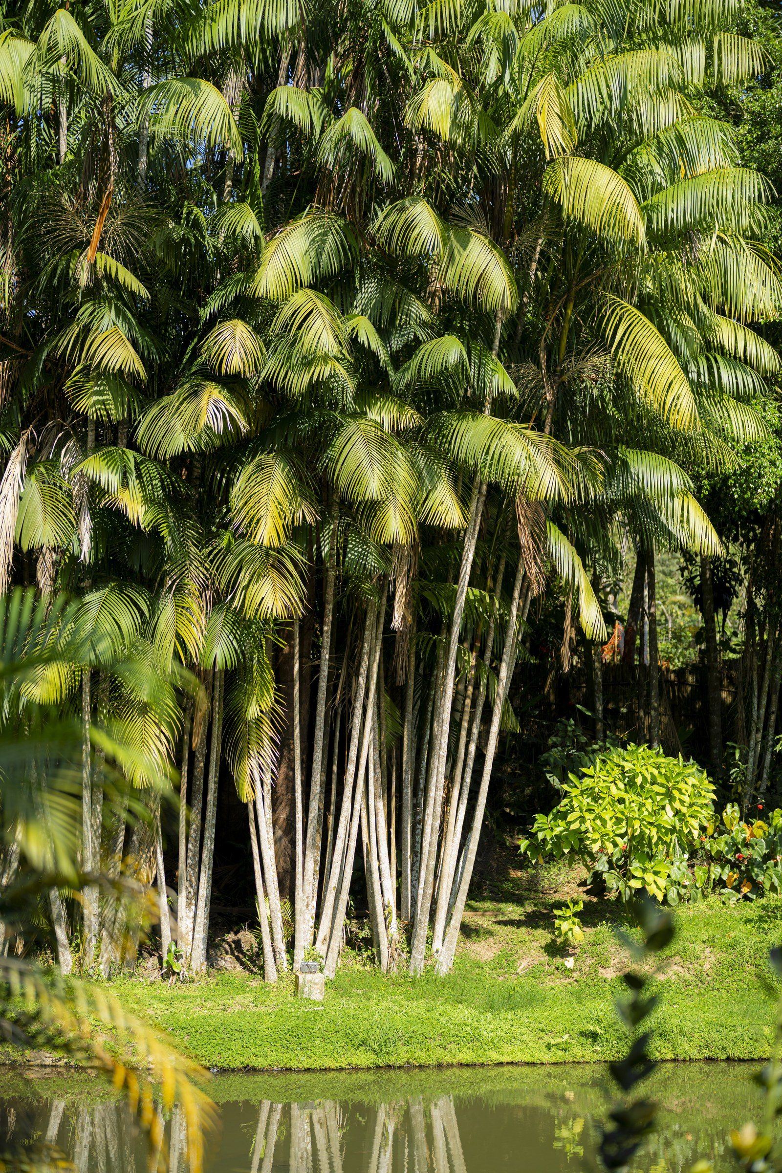 Garden scene at Kantu Garden Lodge
