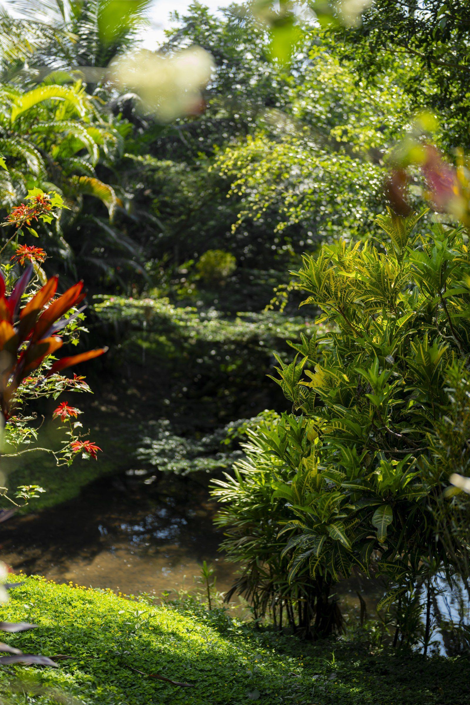 Garden at Kantu Garden Lodge