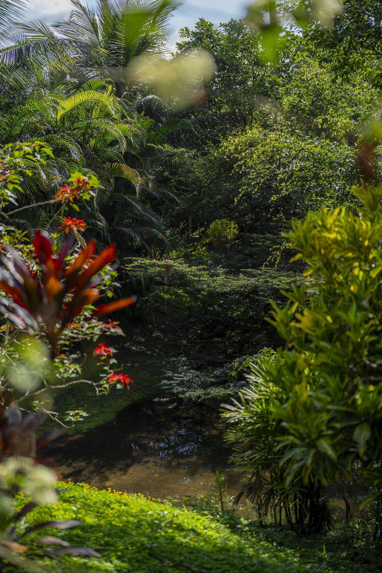 Garden scene at Kantu Garden Lodge