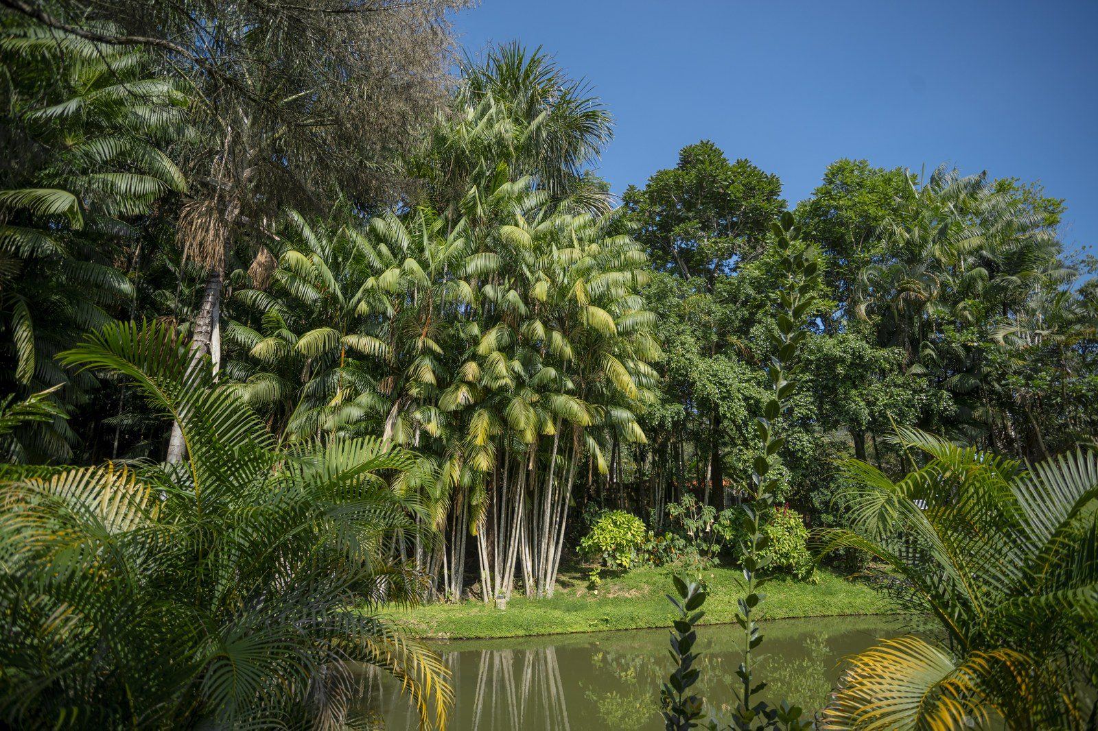 Garden scene at Kantu Garden Lodge