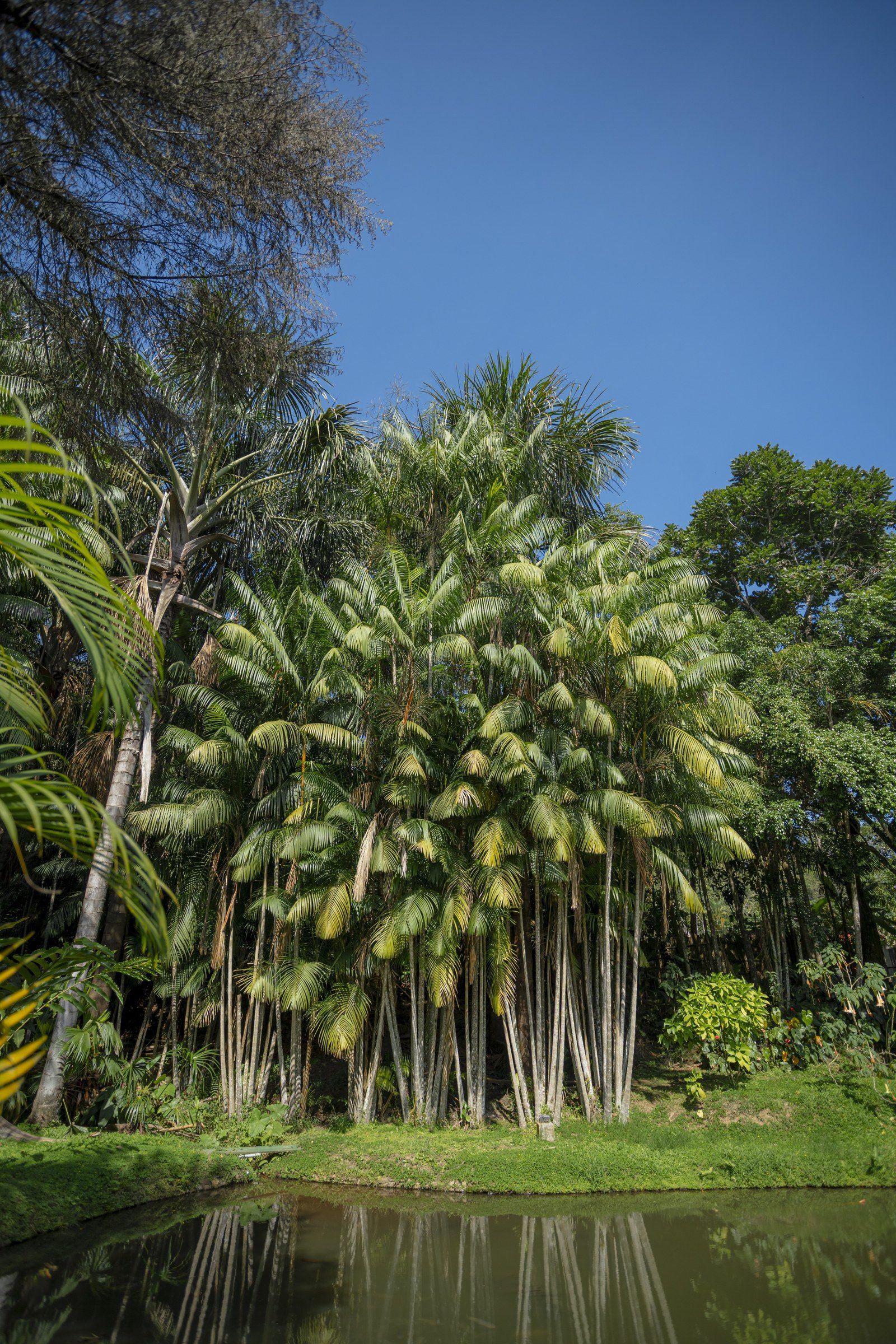 Garden scene at Kantu Garden Lodge