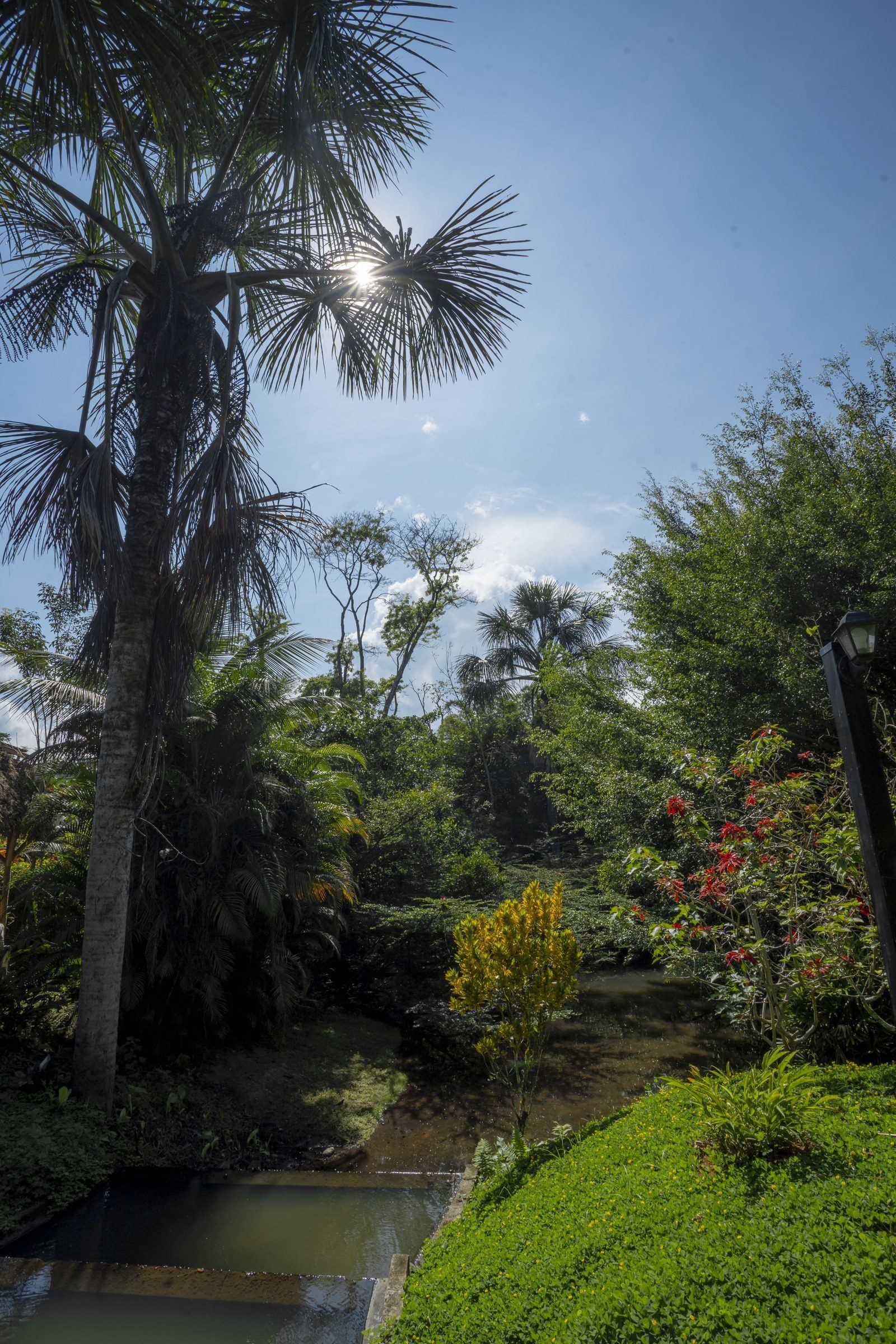 Garden scene at Kantu Garden Lodge