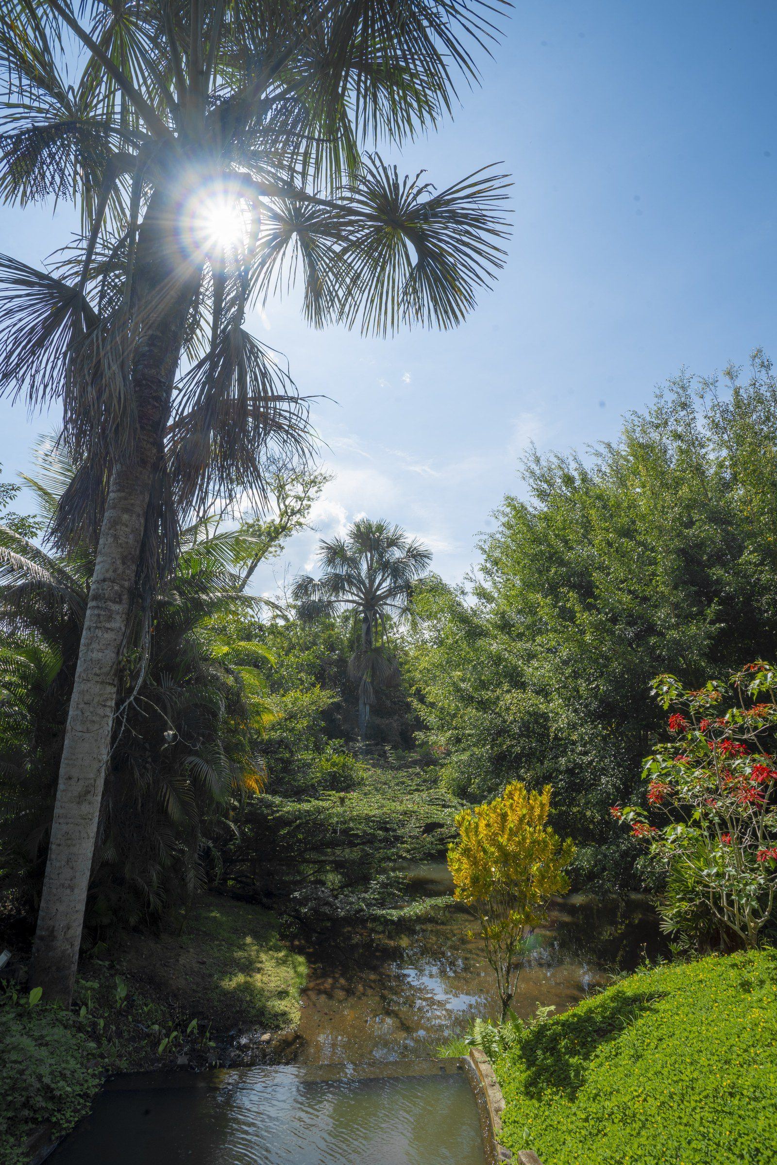 Garden scene at Kantu Garden Lodge