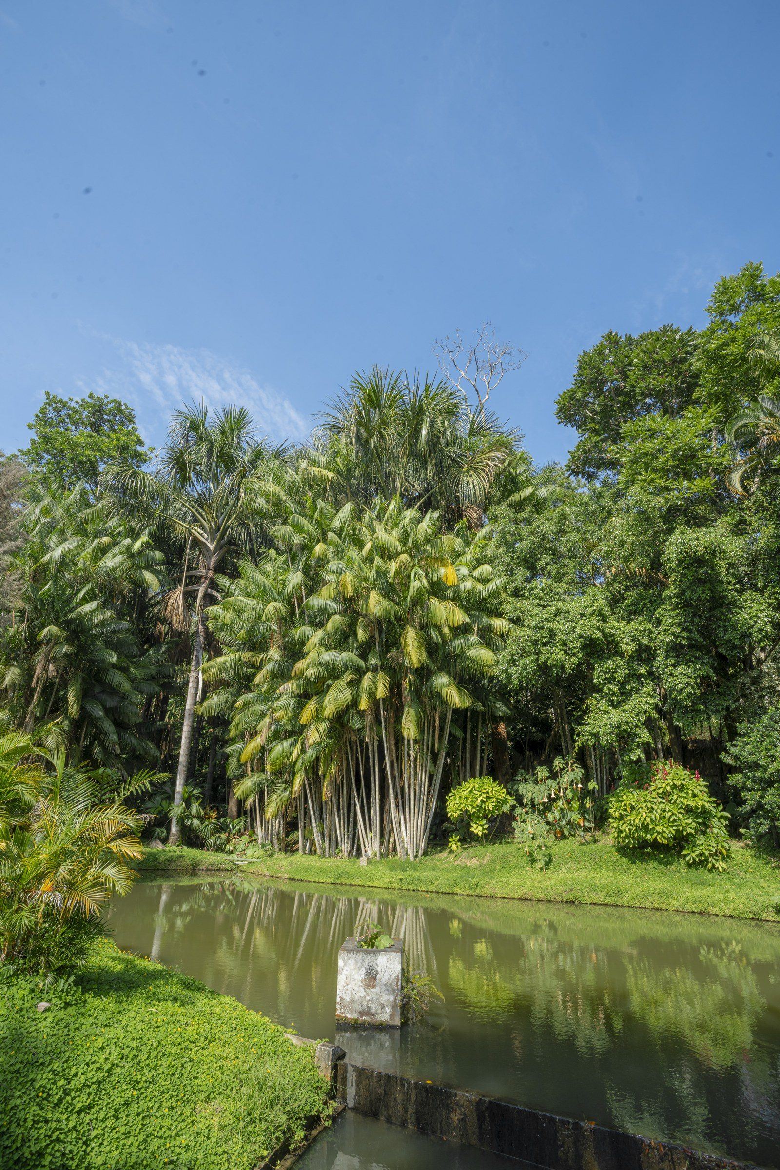 Garden scene at Kantu Garden Lodge