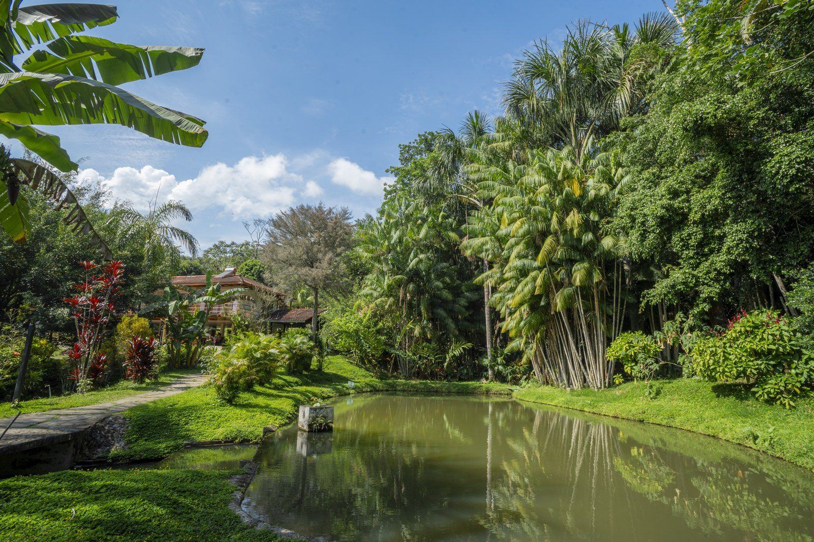 Garden scene at Kantu Garden Lodge