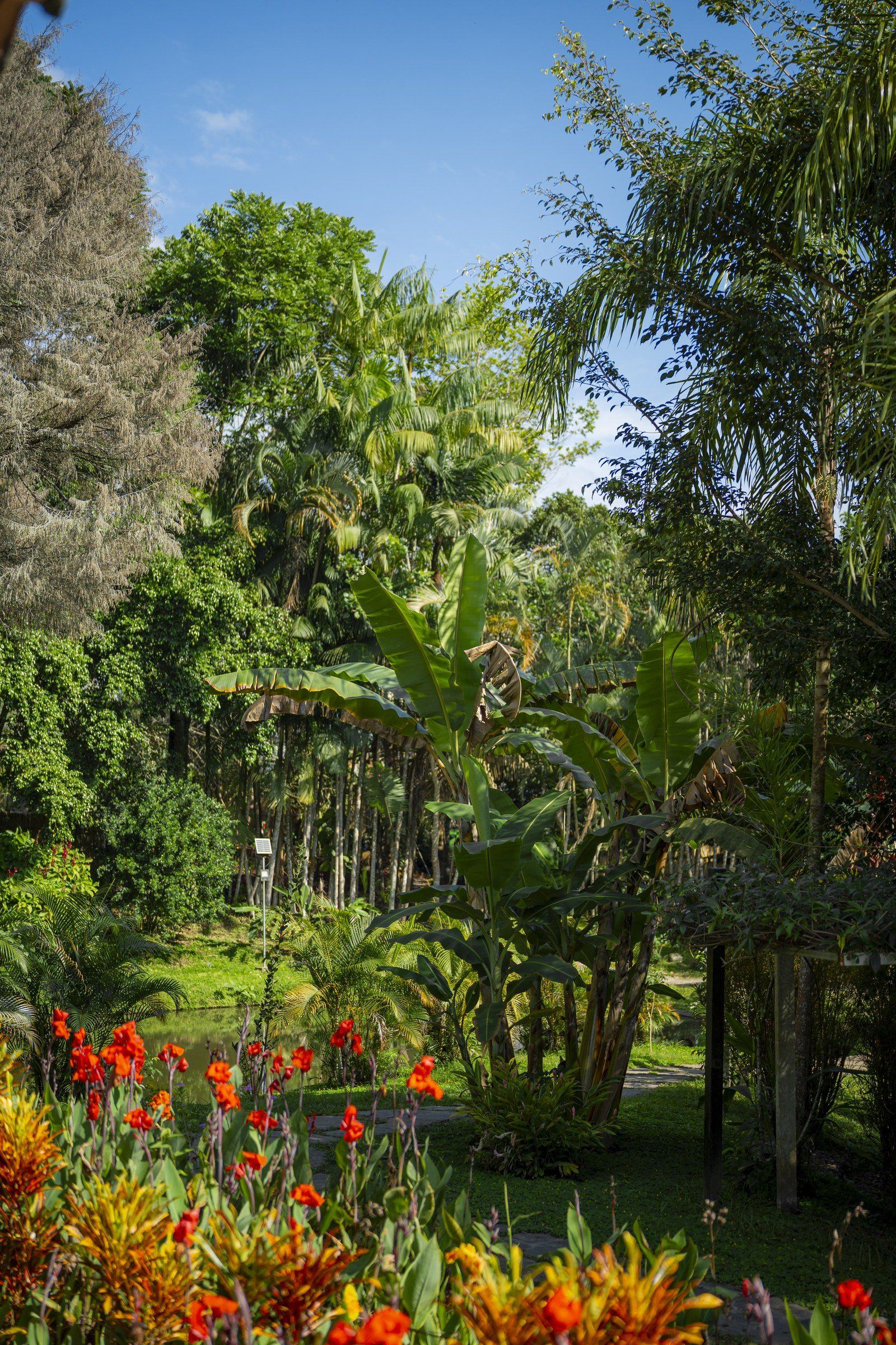 Garden scene at Kantu Garden Lodge