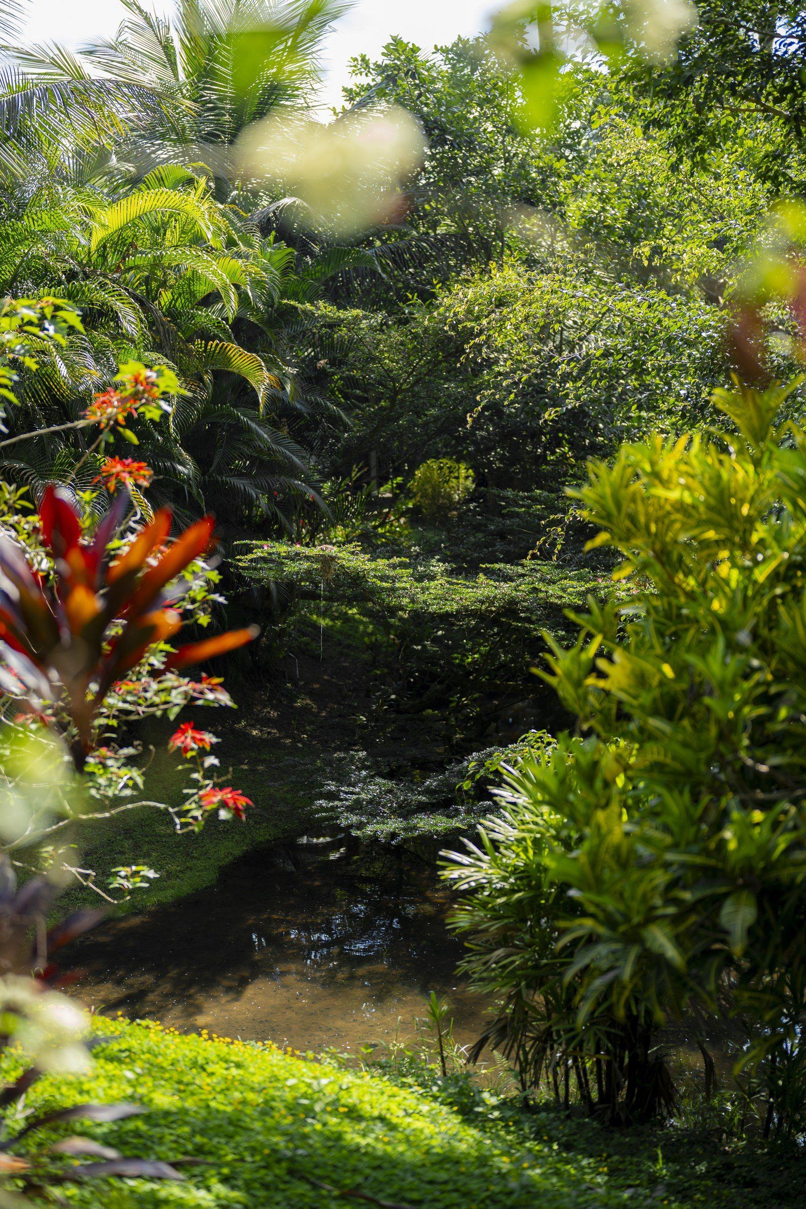 Garden scene at Kantu Garden Lodge