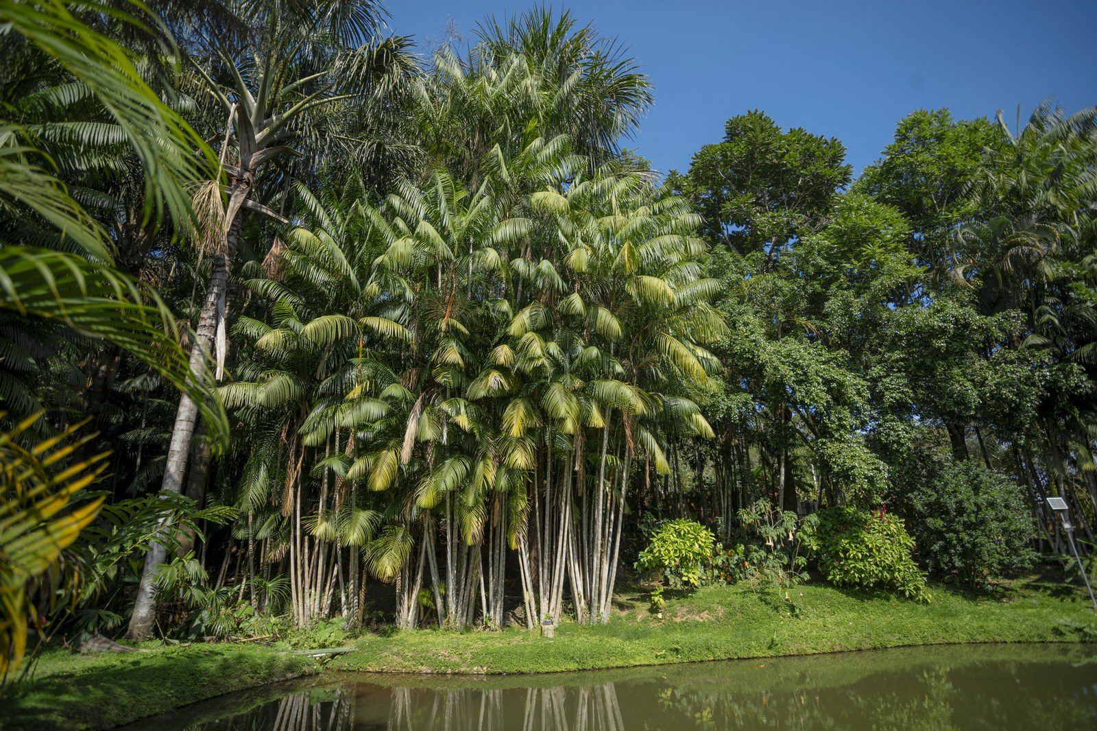 Garden scene at Kantu Garden Lodge