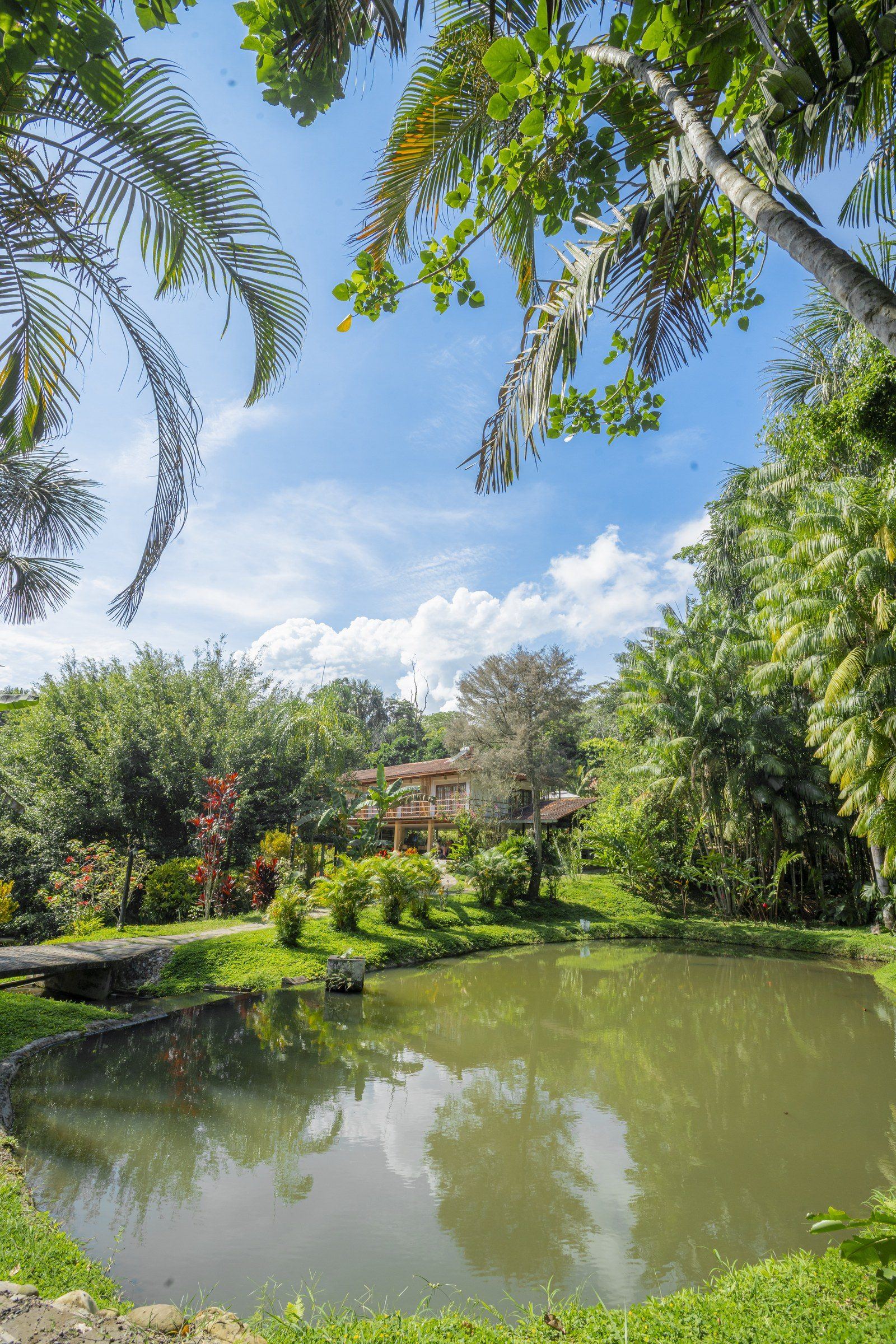 Garden scene at Kantu Garden Lodge