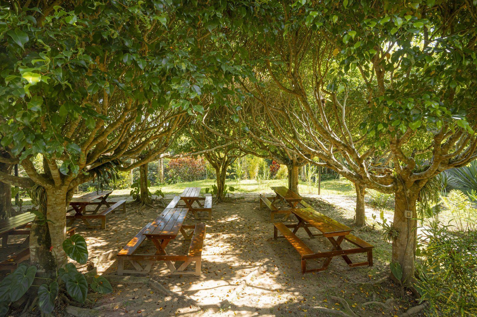 Garden scene at Kantu Garden Lodge