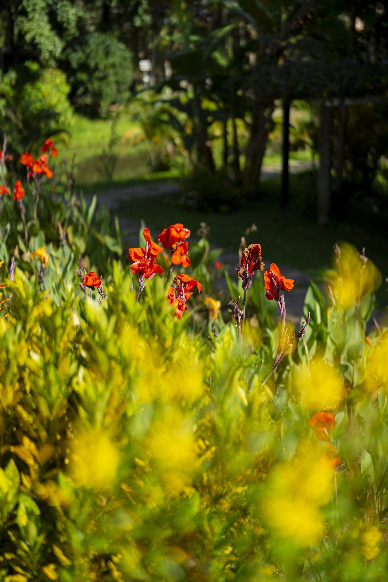 Garden scene at Kantu Garden Lodge