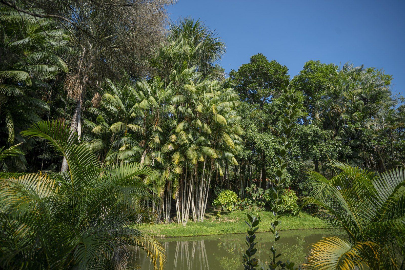 Garden scene at Kantu Garden Lodge