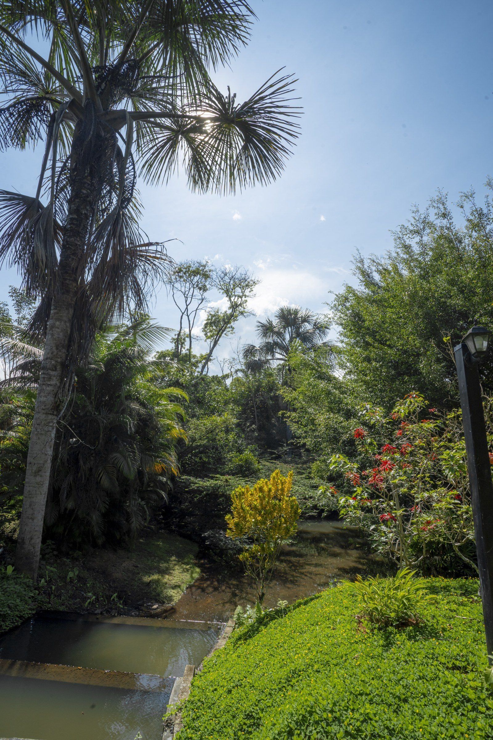 Garden scene at Kantu Garden Lodge
