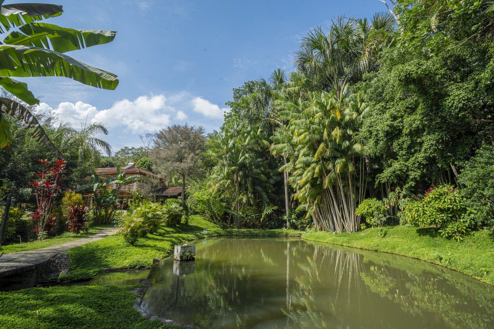 Garden scene at Kantu Garden Lodge