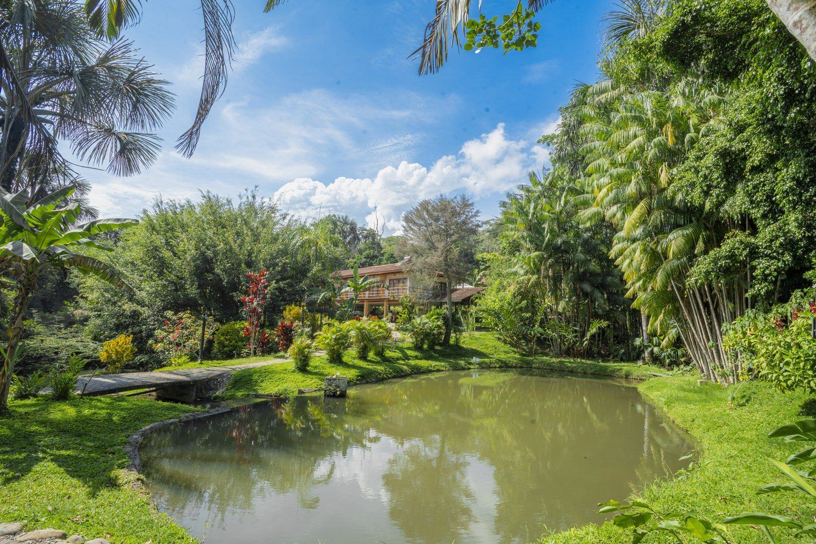 Garden scene at Kantu Garden Lodge