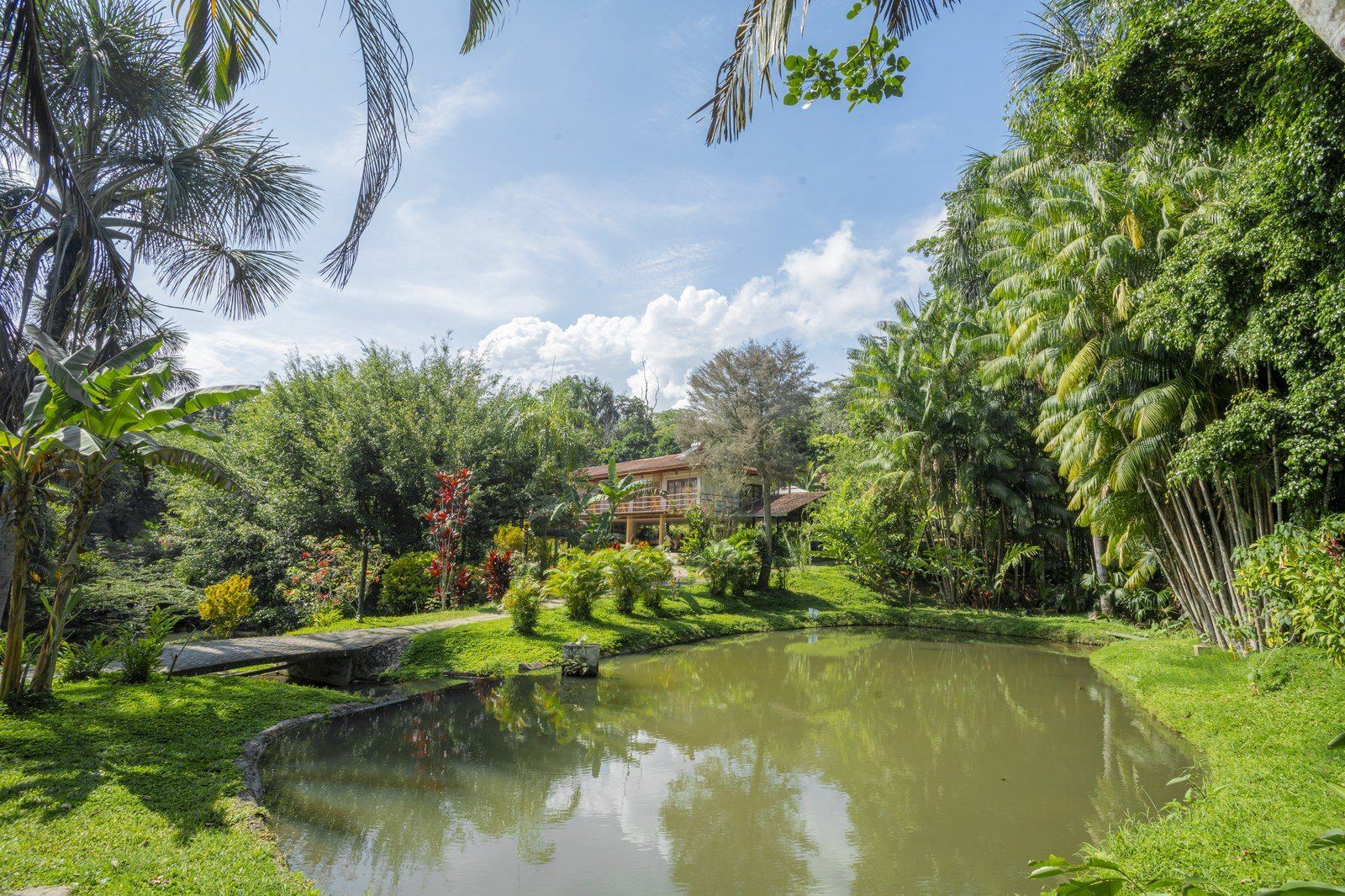 Garden scene at Kantu Garden Lodge