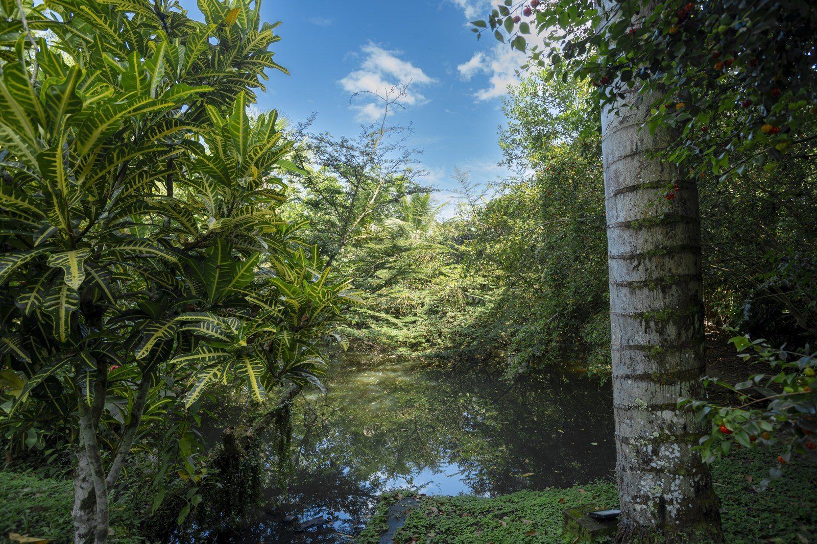 Garden scene at Kantu Garden Lodge