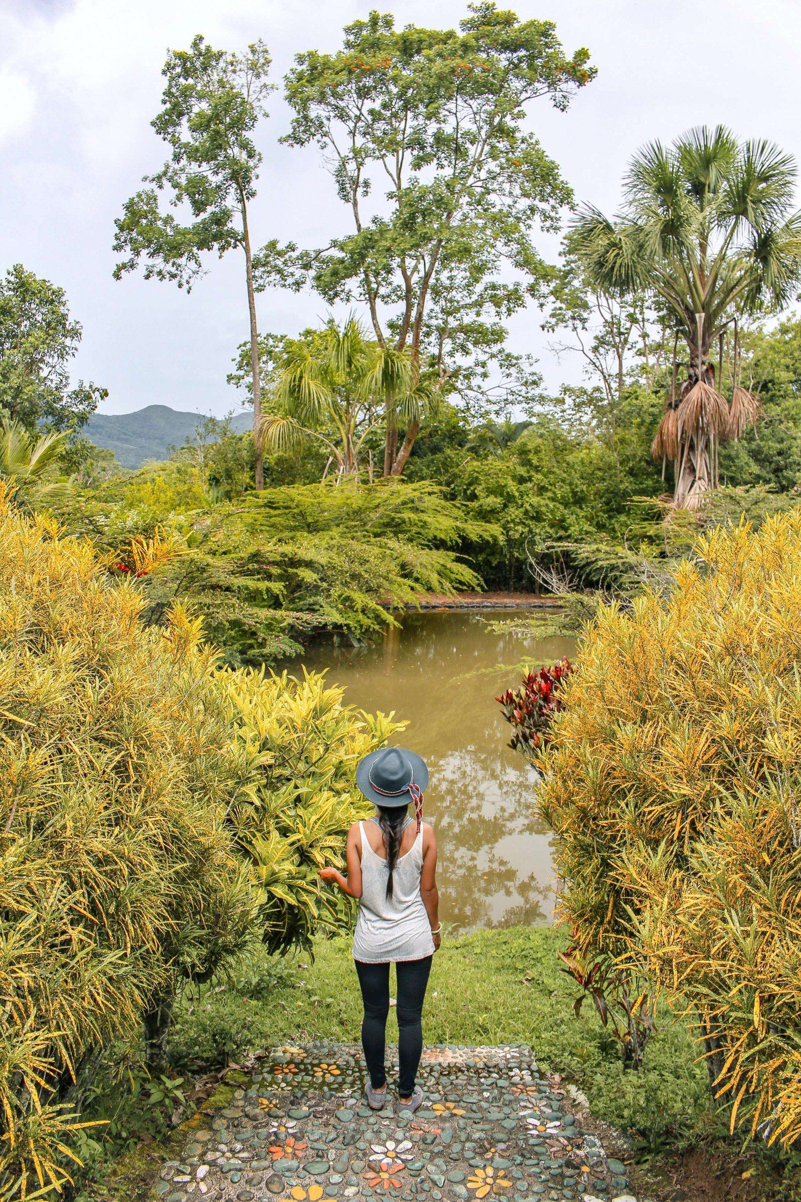 Kantu Garden Lodge grounds
